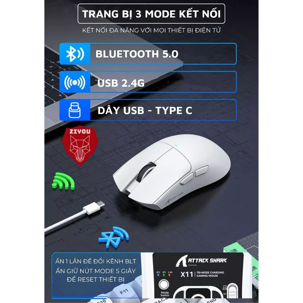 Chuột Không Dây Bluetooth Chuyên Gaming Ziyou Attack Shark X11 Chip Khủng PAW3311 Pollingrate 1Khz - 2