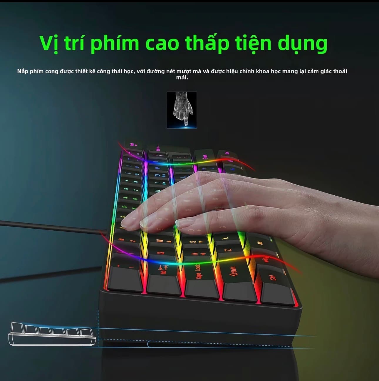 Bàn phím cơ MAIGA 61 phím, có sẳn switch đỏ và xanh dương, Đèn nền RGB đa chế độ cầu vòng - 2